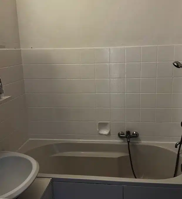 BADRENOVIERUNG